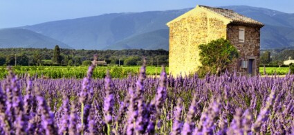 Luberon